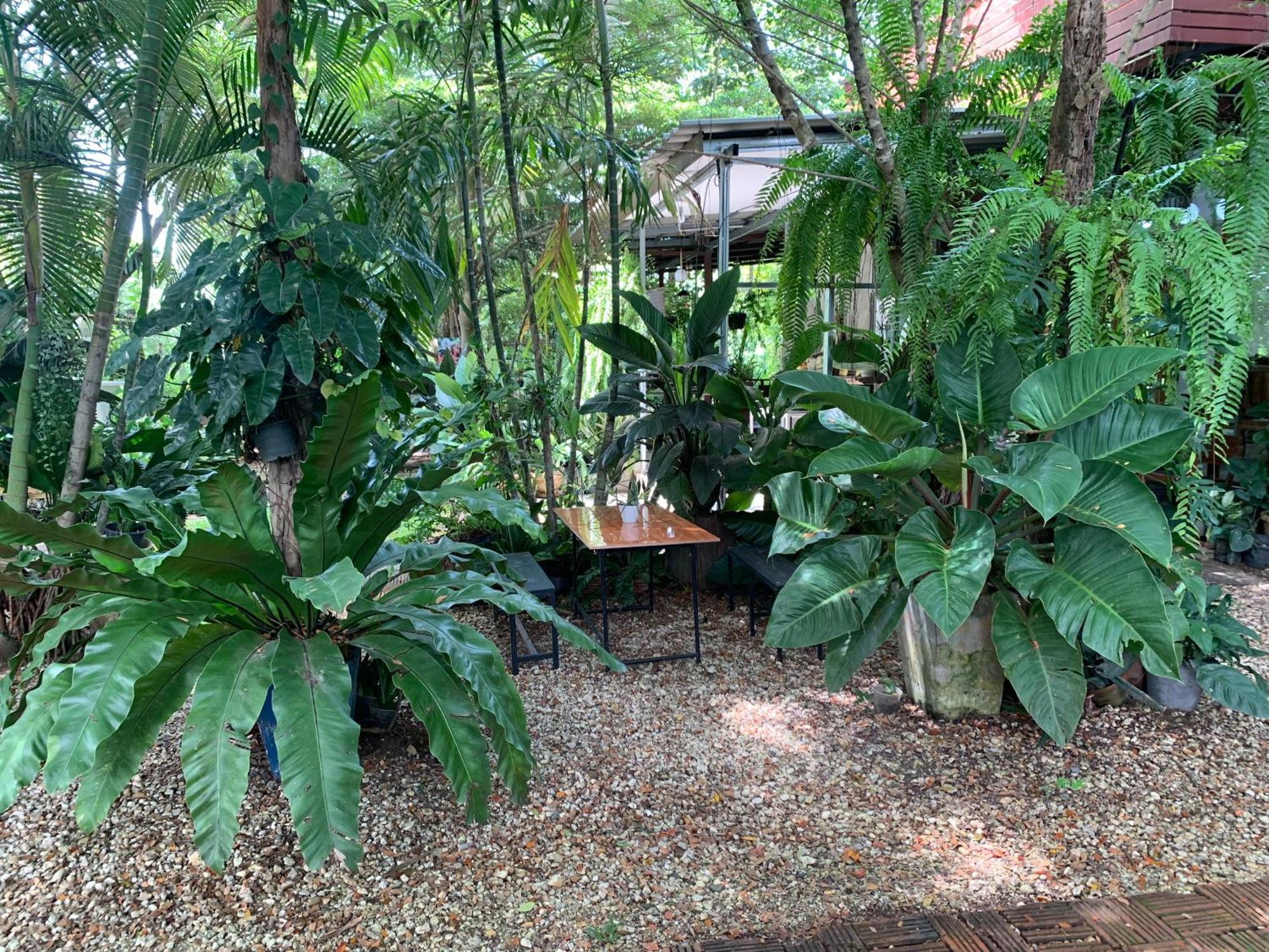 Baan Suan Duang Porn Resort Ban Phae  Ngoại thất bức ảnh