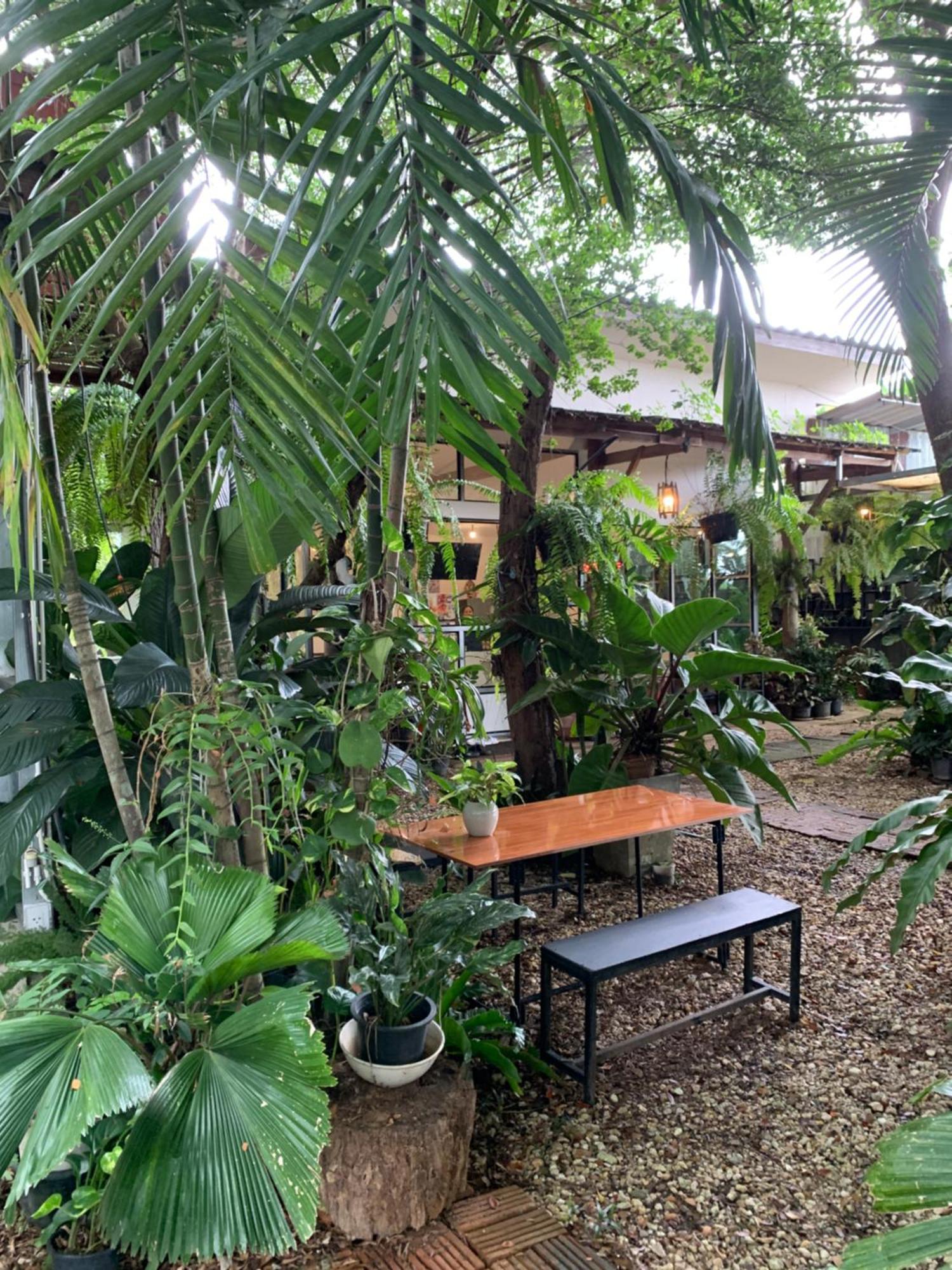 Baan Suan Duang Porn Resort Ban Phae  Ngoại thất bức ảnh
